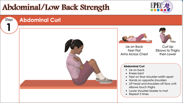Abdominal/Low Back Strength