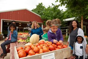 family-outing-at-farm