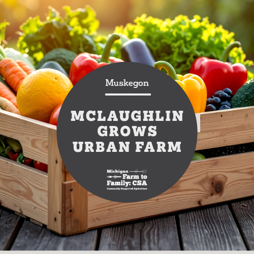 McLaughlin Grows Urban Farm