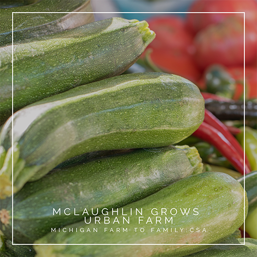 McLaughlin Grow Urban Farm CSA